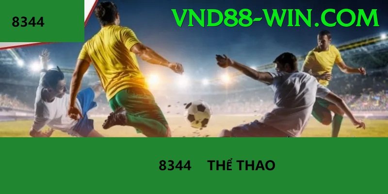 Cá Cược Thể Thao - Trải nghiệm tuyệt vời